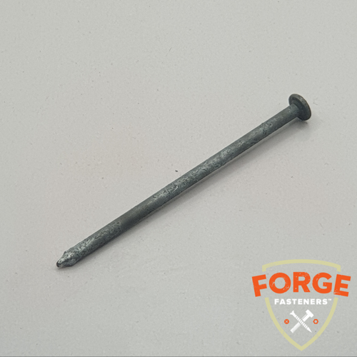 NAIL FLAT HD GALV (BULK)